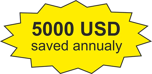 5000 USD saved annually 5000 USD saved annually